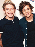 Niall Horan and Harry Styles