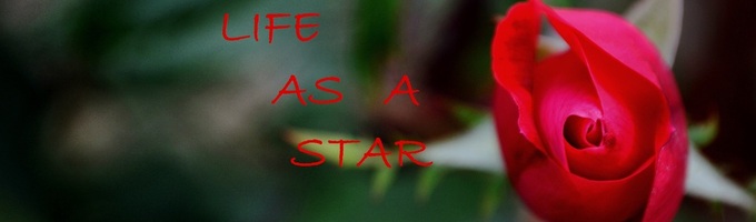 Life As a Star